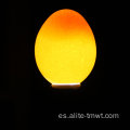 Luz de huevo portátil de acero inoxidable de luz LED